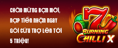 Hoàn Trả VIP Không Giới Hạn promotion image